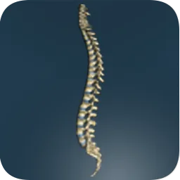 Wagner Chiropractic place picture